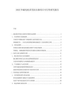 2025年磁電機(jī)多用拉出器項(xiàng)目可行性研究報告