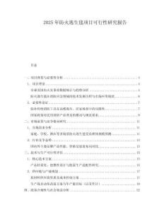 2025年防火逃生毯項目可行性研究報告
