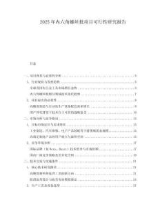 2025年內(nèi)六角螺絲批項(xiàng)目可行性研究報(bào)告