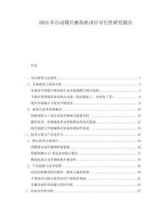 2025年自動鋸片磨齒機項目可行性研究報告