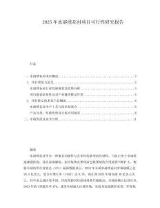 2025年水溶繡花襯項(xiàng)目可行性研究報(bào)告