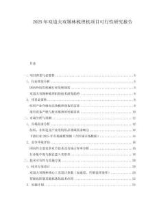 2025年雙道夫雙錫林梳理機項目可行性研究報告