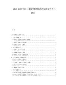 2025-2030中國工業視覺檢測系統準確率提升路徑報告