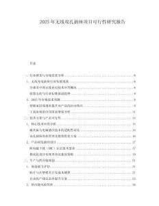 2025年無線雙孔插座項(xiàng)目可行性研究報(bào)告