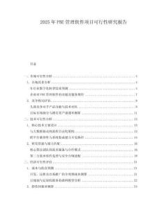 2025年P(guān)BE管理軟件項目可行性研究報告