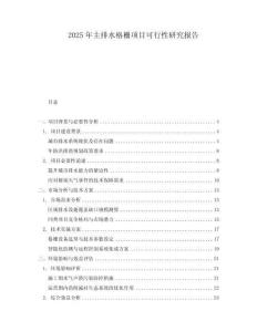 2025年主排水格柵項(xiàng)目可行性研究報(bào)告