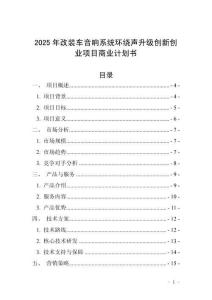 2025年改裝車音響系統(tǒng)環(huán)繞聲升級創(chuàng)新創(chuàng)業(yè)項(xiàng)目商業(yè)計(jì)劃書