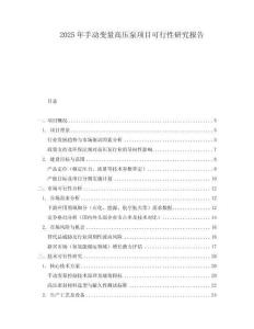 2025年手動(dòng)變量高壓泵項(xiàng)目可行性研究報(bào)告
