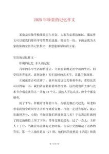 2025年珍貴的記憶作文