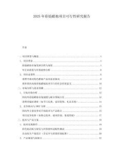 2025年彩焰蠟燭項目可行性研究報告