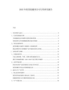 2025年荷茶膠囊項(xiàng)目可行性研究報(bào)告