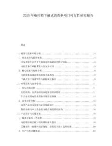 2025年電控箱下藏式消毒器項(xiàng)目可行性研究報(bào)告