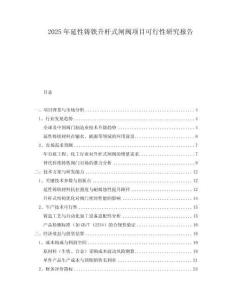 2025年延性鑄鐵升桿式閘閥項目可行性研究報告