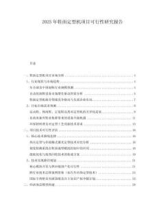 2025年鞋面定型機項目可行性研究報告