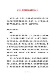 2025年偶然的遇見作文