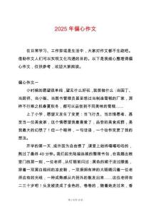 2025年偏心作文