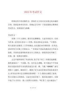 2025年考試作文