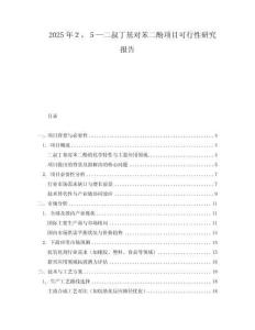 2025年２，５—二叔丁基對苯二酚項(xiàng)目可行性研究報(bào)告
