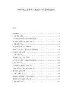 2025年盤龍華表氣模項目可行性研究報告
