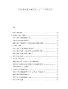2025年防水涂裝膠項目可行性研究報告