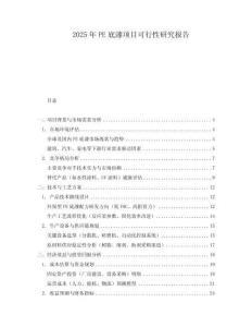 2025年P(guān)E底漆項(xiàng)目可行性研究報(bào)告