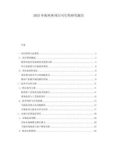 2025年機(jī)吹杯項(xiàng)目可行性研究報(bào)告