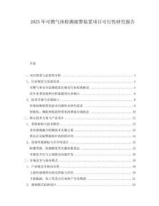 2025年可燃氣體檢測報警裝置項目可行性研究報告