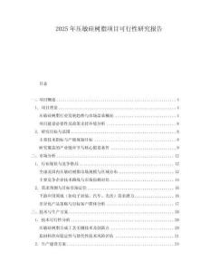 2025年壓敏硅樹脂項(xiàng)目可行性研究報(bào)告