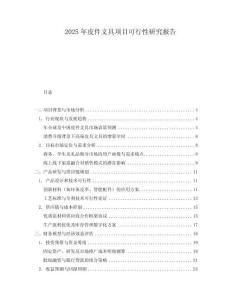 2025年皮件文具項目可行性研究報告
