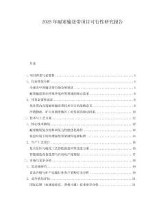 2025年耐寒輸送帶項目可行性研究報告