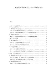 2025年光碟保護(hù)套項目可行性研究報告