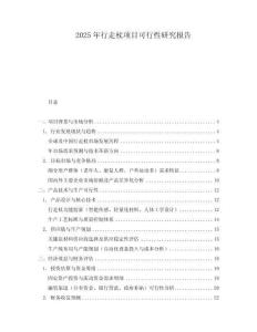 2025年行走杖項目可行性研究報告