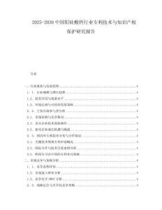2025-2030中國鋁硅酸鈣行業(yè)專利技術(shù)與知識產(chǎn)權(quán)保護研究報告