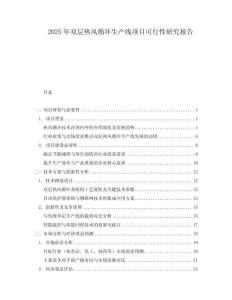 2025年雙層熱風循環(huán)生產(chǎn)線項目可行性研究報告