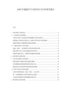 2025年超能空氣寶機項目可行性研究報告