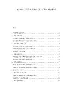 2025年廬山霉素泡騰片項目可行性研究報告