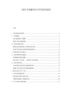 2025年瓷罐項(xiàng)目可行性研究報(bào)告