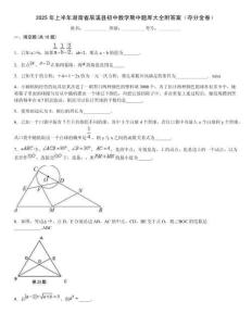 2025年上半年湖南省辰溪縣初中數(shù)學(xué)期中題庫大全附答案（奪分金卷）