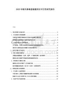 2025年眼耳鼻喉套裝鏡項目可行性研究報告