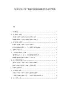 2025年顯示管三防納米材料項目可行性研究報告