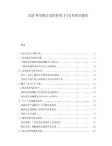 2025年雙組份膠粘劑項(xiàng)目可行性研究報(bào)告