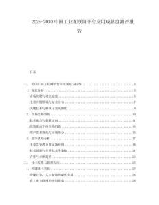 2025-2030中國工業(yè)互聯(lián)網(wǎng)平臺(tái)應(yīng)用成熟度測(cè)評(píng)報(bào)告