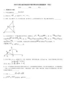 2025年湖北省谷城縣初中數(shù)學(xué)期末測試真題題庫（奪冠）