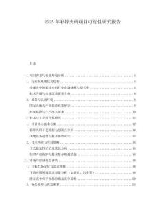2025年彩鋅夾碼項(xiàng)目可行性研究報(bào)告
