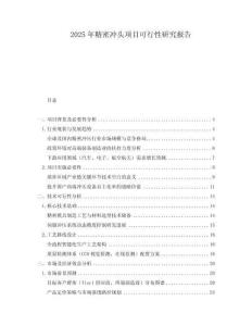 2025年精密沖頭項(xiàng)目可行性研究報(bào)告