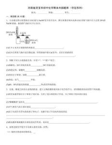 河南省靈寶市初中化學(xué)期末內(nèi)部題庫（奪冠系列）