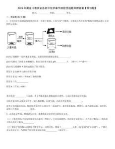 2025年黑龍江省慶安縣初中化學(xué)章節(jié)測驗(yàn)優(yōu)選題庫附答案【預(yù)熱題】