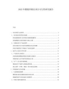 2025年燃煤單眼灶項(xiàng)目可行性研究報(bào)告