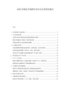2025年粗紡羊絨圍巾項目可行性研究報告
