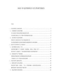 2025年電焊鋼項(xiàng)目可行性研究報(bào)告